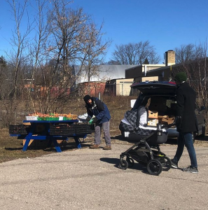 People packing a trunk with goods